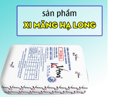 Công ty TNHH MTV Thương mại Bảo Luân