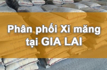 Nhà Phân Phối Xi Măng Chất Lượng Cao Gia Lai