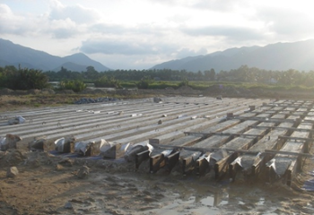 Quy trình sản xuất cọc bê tông