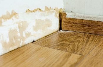 Vật liệu lát sàn không phù hợp có thể khiến sàn nhà ẩm ướt dù không phải mùa nồm ẩm