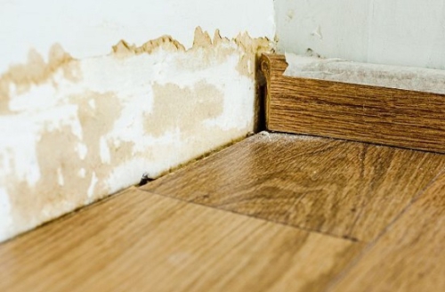 Vật liệu lát sàn không phù hợp có thể khiến sàn nhà ẩm ướt dù không phải mùa nồm ẩm