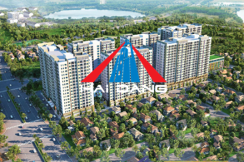 CÔNG TY CỔ PHẦN THƯƠNG MẠI HẢI ĐĂNG THÁI BÌNH