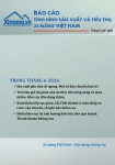 Phát hành Báo cáo sản xuất và tiêu thụ xi măng tháng 06/2026