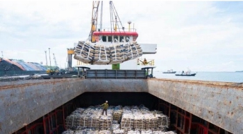 Dự báo về tình hình xuất khẩu xi măng/clinker năm 2025
