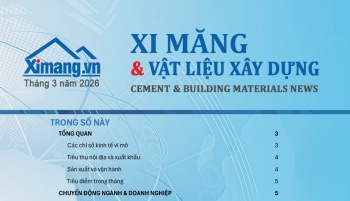 Thị trường xi măng và VLXD tháng 03/2026: Phục hồi sau Tết, giá bắt đầu bước vào chu kỳ tăng
