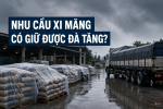 Nhu cầu xi măng có giữ được đà tăng trong nửa cuối năm?