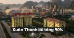 Lãi ròng xi măng Xuân Thành tăng mạnh: Điểm tựa giữ nhịp chính sách bán hàng nội địa